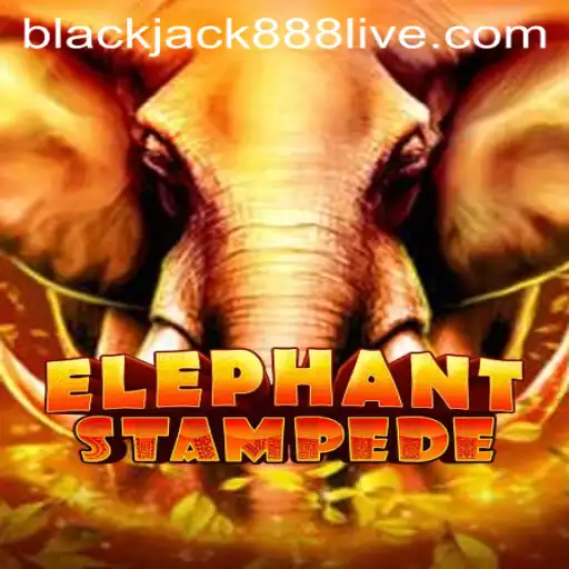 ElephantStampede: A Thrilling Gaming Experience with blackjack888