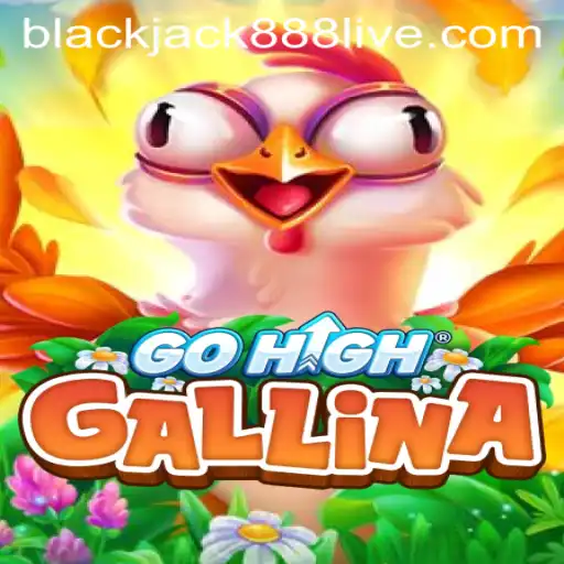 Exploring the Dynamic World of GoHighGallina: A Dive into a New Gaming Experience